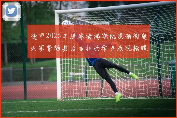 德甲2025年进球榜揭晓凯恩领衔奥利塞紧随其后吉拉西希克表现抢眼