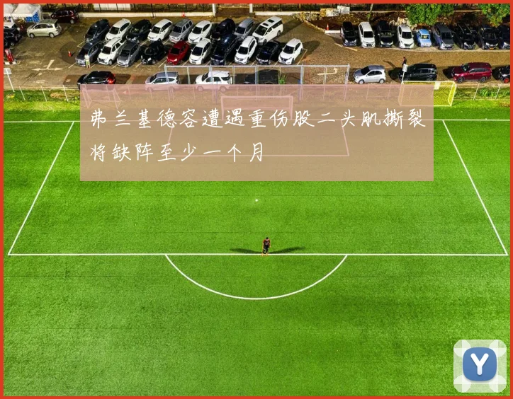 弗兰基德容遭遇重伤股二头肌撕裂将缺阵至少一个月